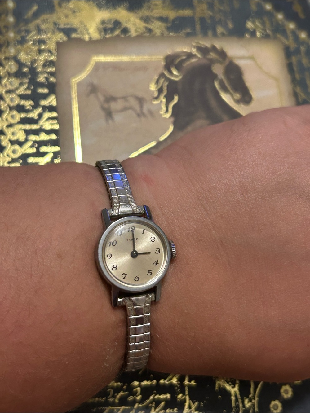 Speidel Silver-Tone Expansion Bracelet Watch Band